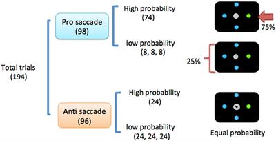 Anodal and Cathodal tDCS Over the Right Frontal Eye Fields Impacts Spatial Probability Processing Differently in Pro- and Anti-saccades